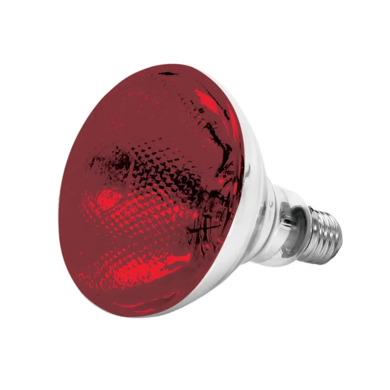 red heat lamp bulb sej90001r 250w thunder group